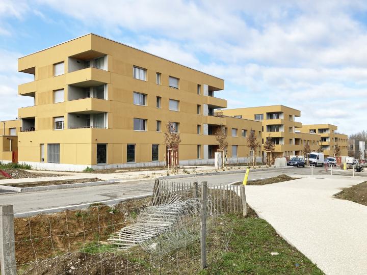 Flanerie-des-Chenes-Nantes (1).jpg